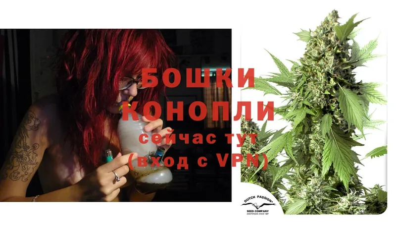 МАРИХУАНА THC 21%  цена наркотик  Ветлуга 